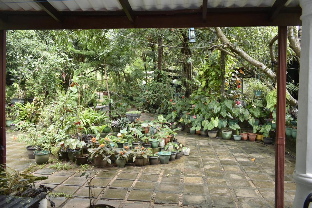 Sigiri Rock Side Home Stay Szigirija Kültér fotó