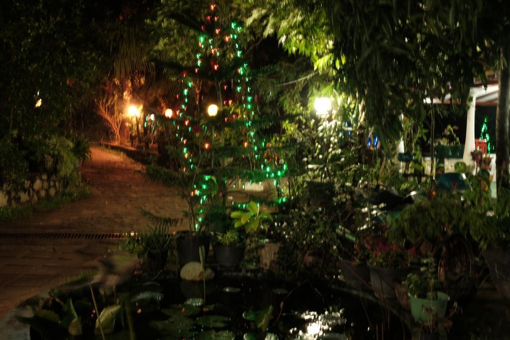 Sigiri Rock Side Home Stay Szigirija Kültér fotó