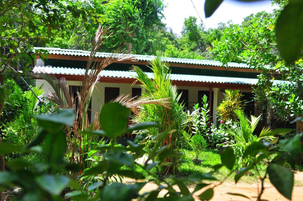Sigiri Rock Side Home Stay Szigirija Kültér fotó