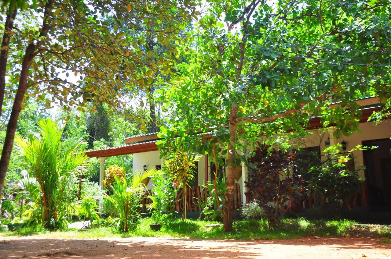 Sigiri Rock Side Home Stay Szigirija Kültér fotó